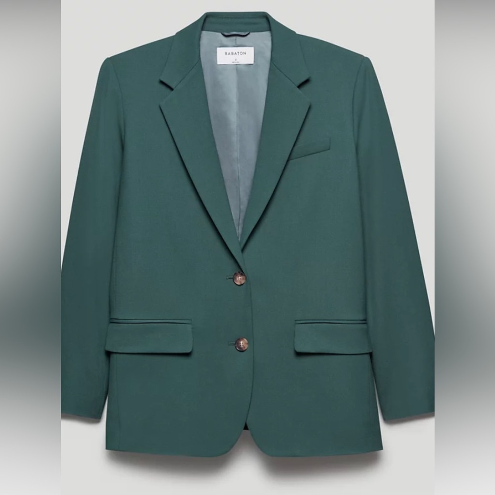 Babaton Aritzia Vogue blazer